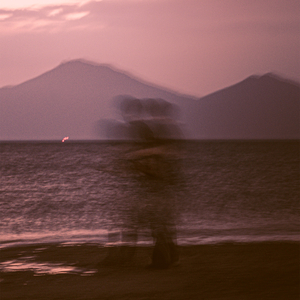 秘书呻吟H浪货趴
